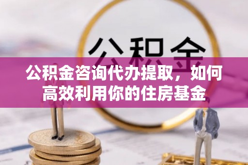 道县公积金咨询代办提取，如何高效利用你的住房基金