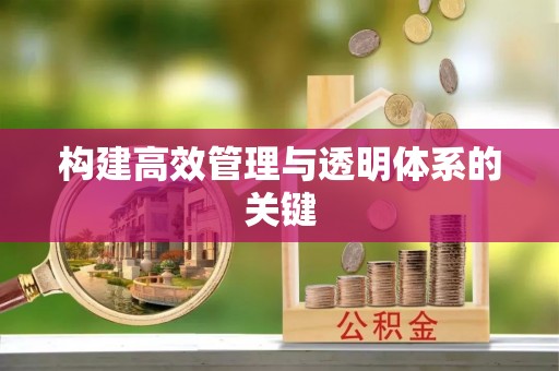道县构建高效管理与透明体系的关键