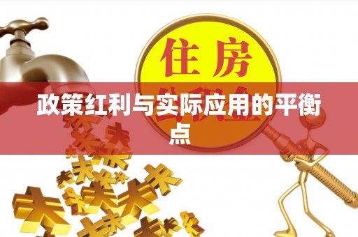 道县政策红利与实际应用的平衡点