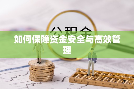 道县如何保障资金安全与高效管理