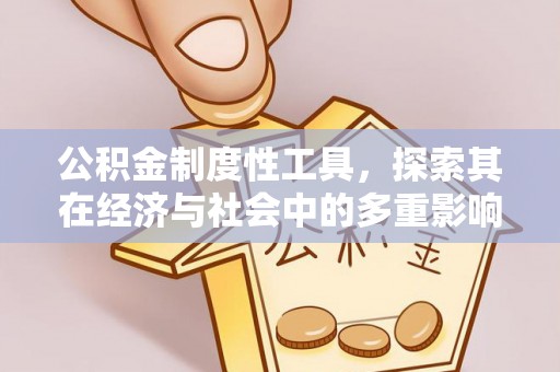 道县公积金制度性工具，探索其在经济与社会中的多重影响