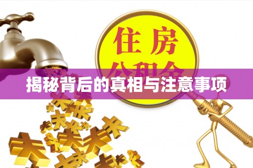 道县揭秘背后的真相与注意事项