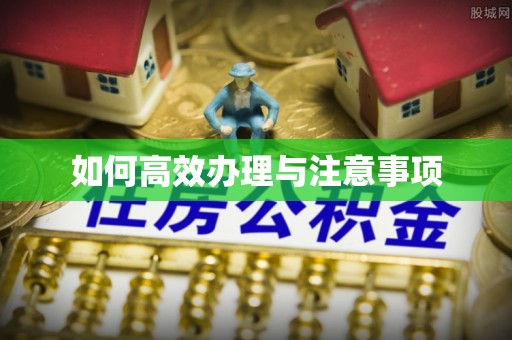 道县如何高效办理与注意事项