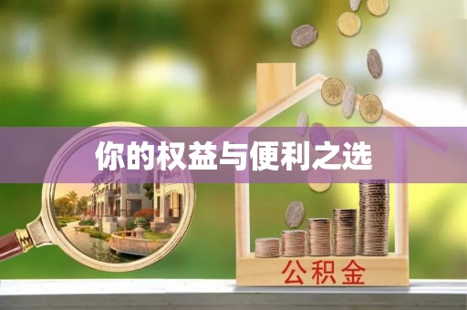 道县你的权益与便利之选