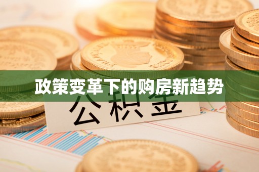 道县政策变革下的购房新趋势
