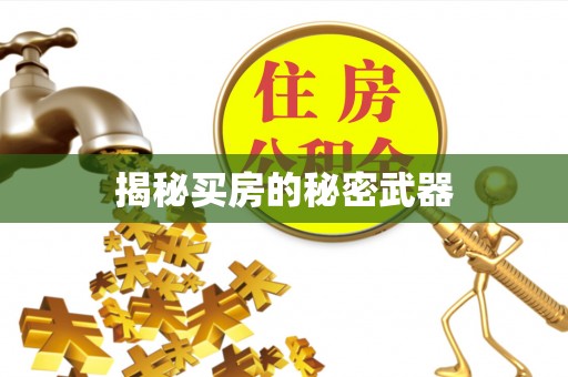 道县揭秘买房的秘密武器