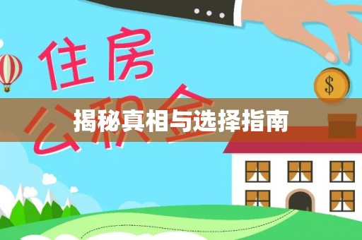 道县揭秘真相与选择指南