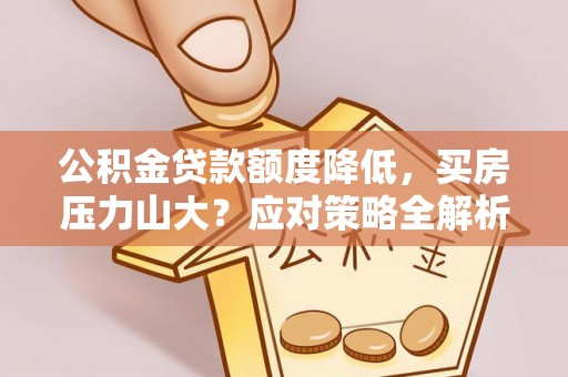 道县公积金贷款额度降低，买房压力山大？应对策略全解析