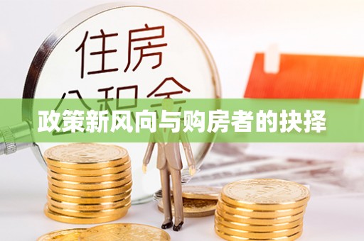 道县政策新风向与购房者的抉择