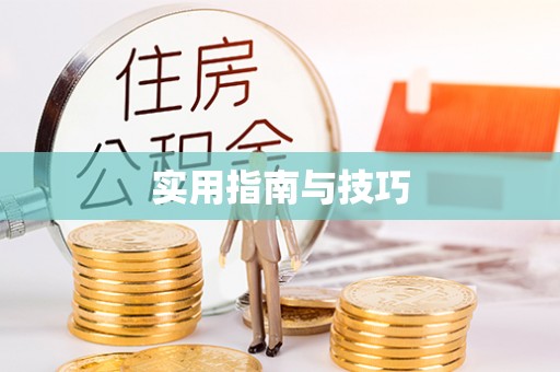 道县实用指南与技巧