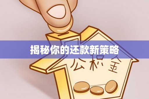 道县揭秘你的还款新策略