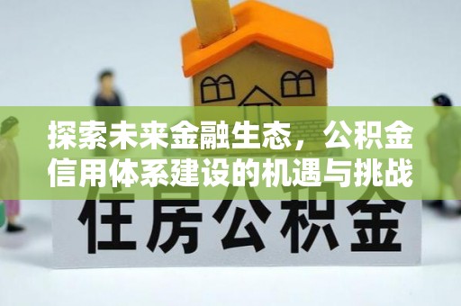道县探索未来金融生态，公积金信用体系建设的机遇与挑战