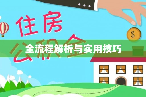 道县全流程解析与实用技巧
