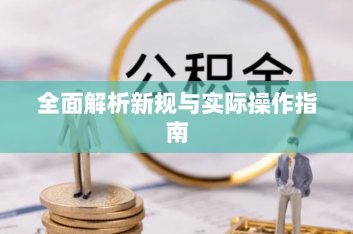 道县全面解析新规与实际操作指南