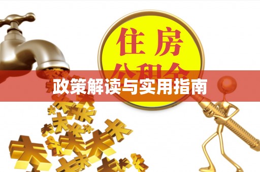道县政策解读与实用指南