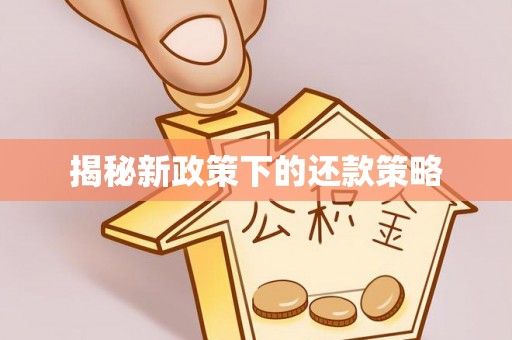 道县揭秘新政策下的还款策略