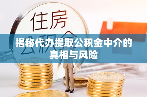 道县揭秘代办提取公积金中介的真相与风险