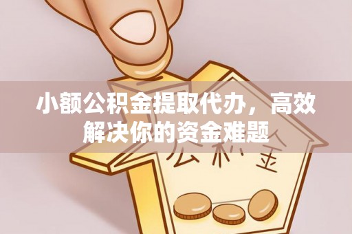 道县小额公积金提取代办，高效解决你的资金难题
