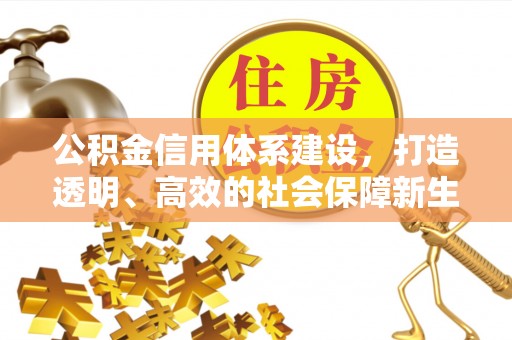 道县公积金信用体系建设，打造透明、高效的社会保障新生态