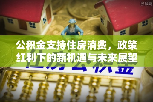 道县公积金支持住房消费，政策红利下的新机遇与未来展望