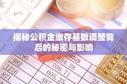 道县揭秘公积金缴存基数调整背后的秘密与影响