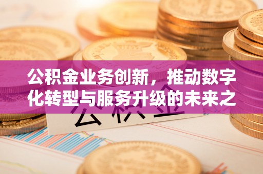 道县公积金业务创新，推动数字化转型与服务升级的未来之路