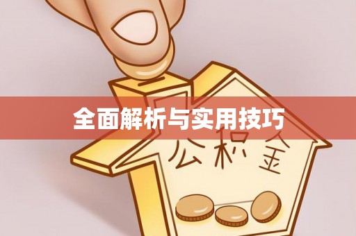 道县全面解析与实用技巧