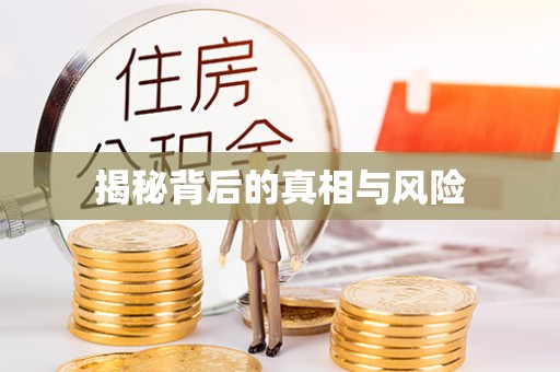 道县揭秘背后的真相与风险
