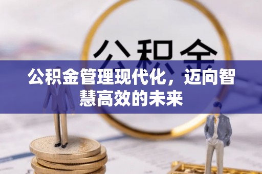 道县公积金管理现代化，迈向智慧高效的未来