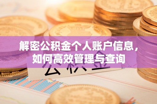 道县解密公积金个人账户信息，如何高效管理与查询