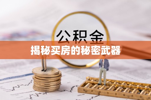 道县揭秘买房的秘密武器