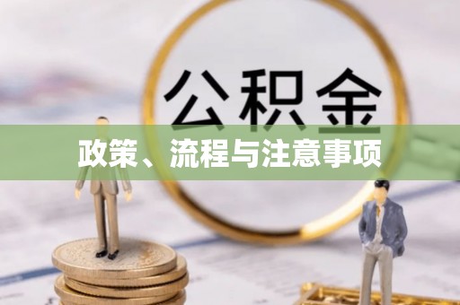 道县政策、流程与注意事项