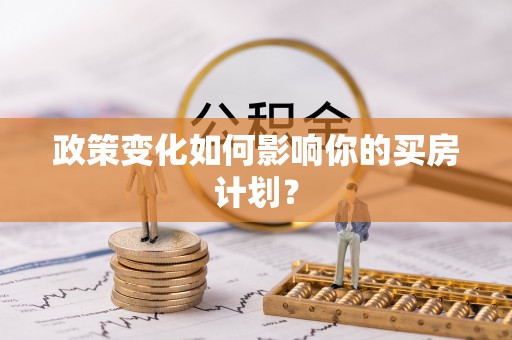 道县政策变化如何影响你的买房计划？