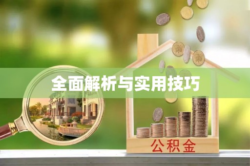 道县全面解析与实用技巧