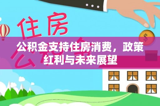 道县公积金支持住房消费，政策红利与未来展望
