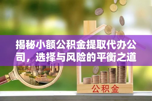 道县揭秘小额公积金提取代办公司，选择与风险的平衡之道