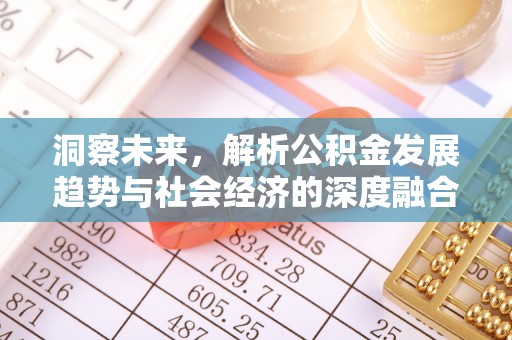 道县洞察未来，解析公积金发展趋势与社会经济的深度融合