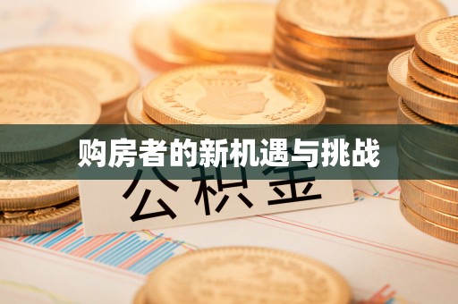 道县购房者的新机遇与挑战