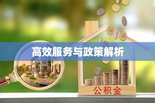 道县高效服务与政策解析