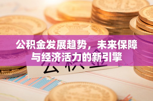 道县公积金发展趋势，未来保障与经济活力的新引擎