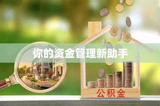 道县你的资金管理新助手