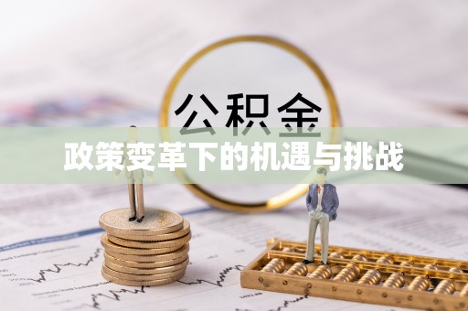 道县政策变革下的机遇与挑战