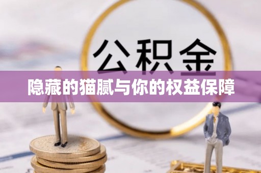 道县隐藏的猫腻与你的权益保障