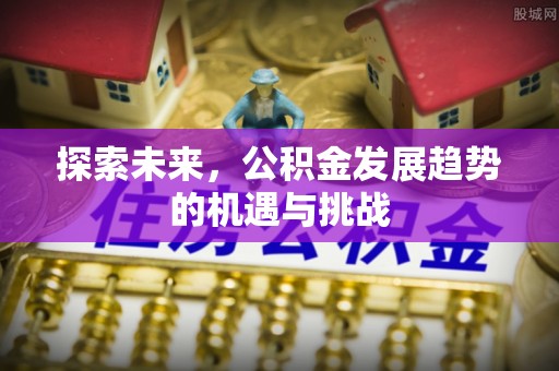 道县探索未来，公积金发展趋势的机遇与挑战