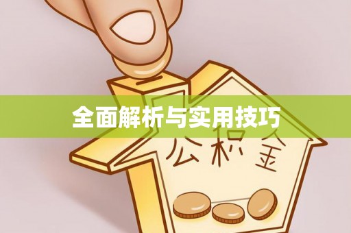 道县全面解析与实用技巧