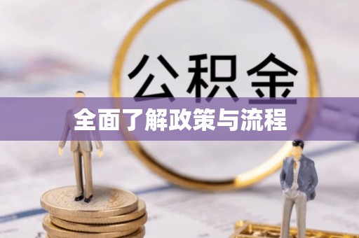 道县全面了解政策与流程