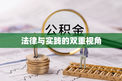 道县法律与实践的双重视角