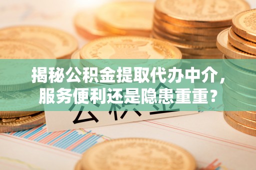 道县揭秘公积金提取代办中介，服务便利还是隐患重重？
