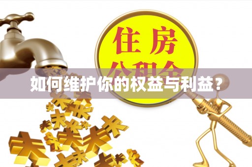 道县如何维护你的权益与利益？