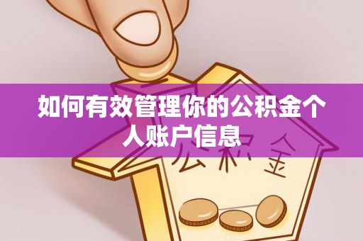 道县如何有效管理你的公积金个人账户信息